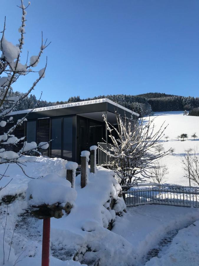 S-Suite Das Design-Ferienhaus Im Schwarzwald Biberach  Εξωτερικό φωτογραφία